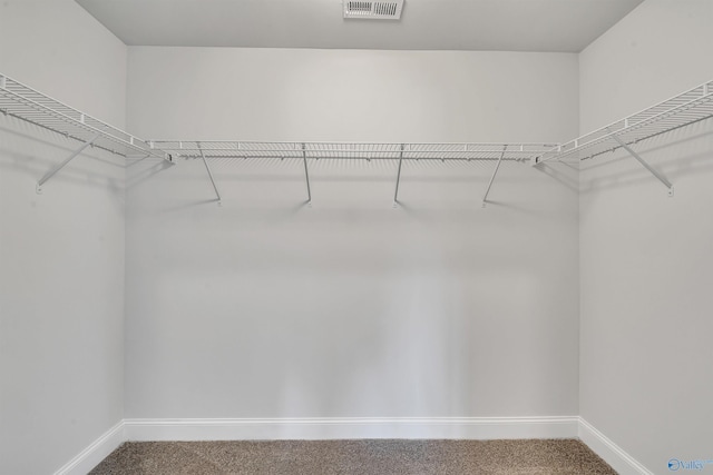 spacious closet featuring carpet and visible vents