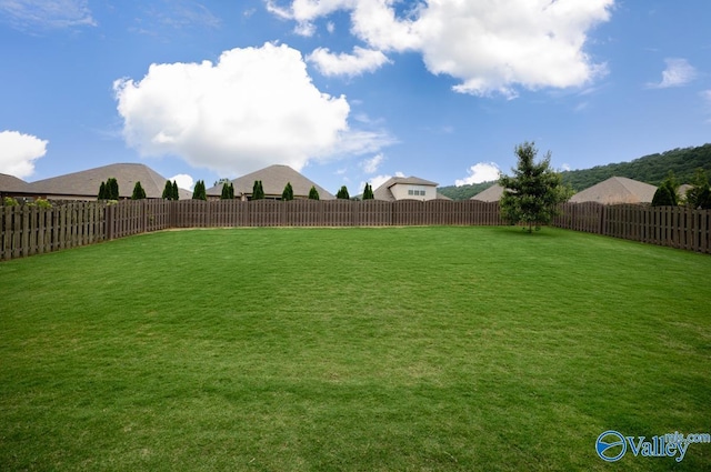 3011 Chimney Cove Cir, Brownsboro, AL 35741 - view of yard