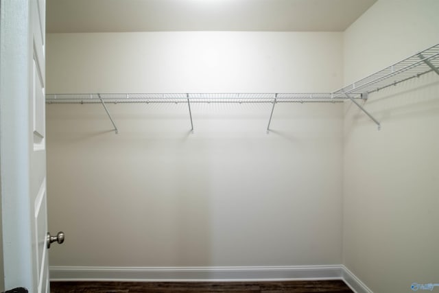 228 Cherry Laurel Dr, Hazel Green, AL 35750 - walk in closet with dark wood-type flooring