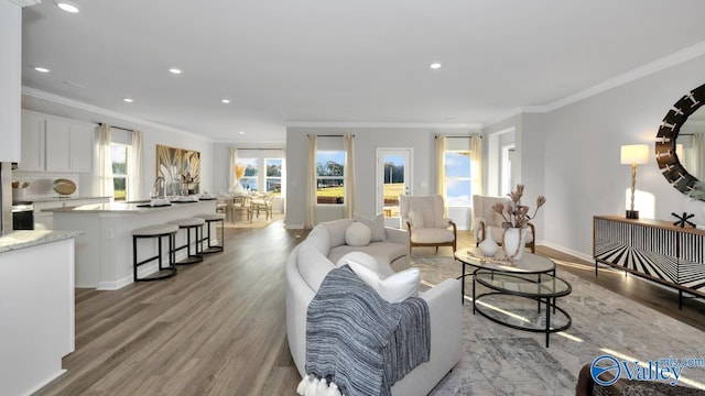 living room featuring light wood-type flooring, crown molding, and sink