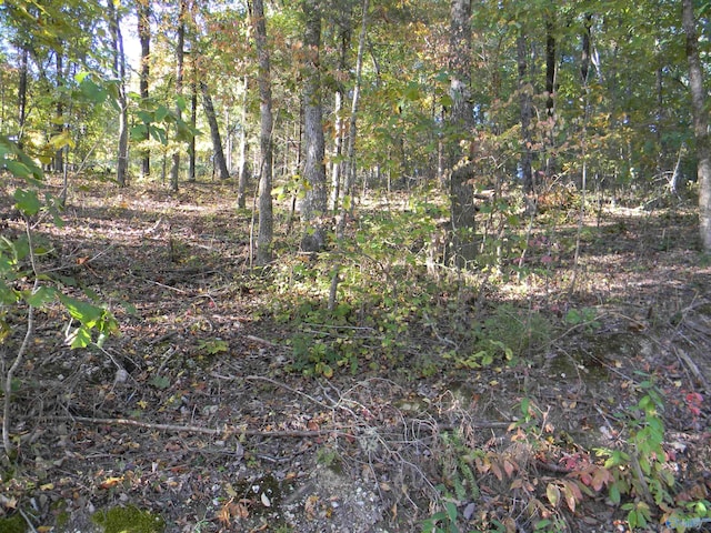 LOT5 County Road 594, Leesburg AL, 35983 land for sale