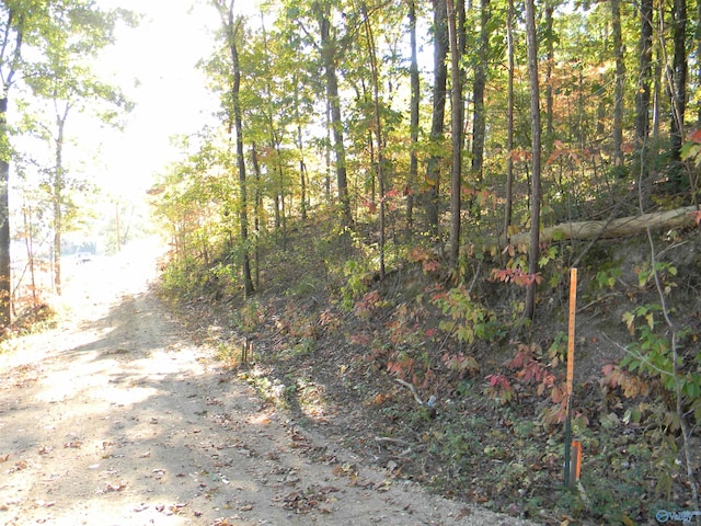 Listing photo 2 for LOT5 County Road 594, Leesburg AL 35983