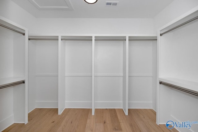 walk in closet with visible vents and light wood-type flooring