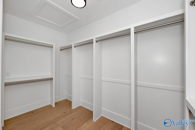 spacious closet featuring attic access and light wood-style floors