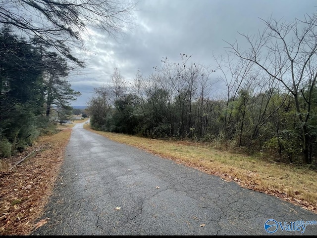 Listing photo 2 for 5ACRES Bakers Chapel Ln, Guntersville AL 35976