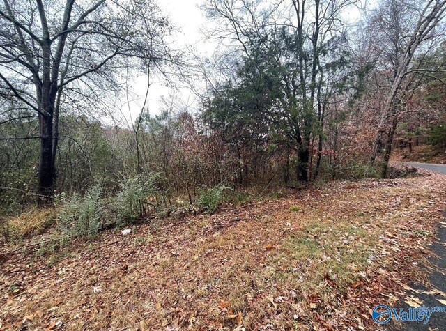 Listing photo 3 for 5ACRES Bakers Chapel Ln, Guntersville AL 35976