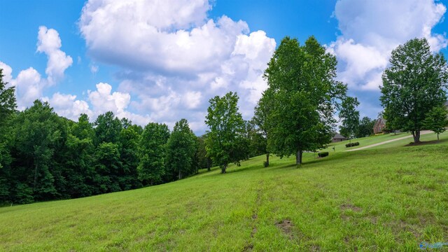 LOT22 County Road 1027, Valley Head, AL 35989