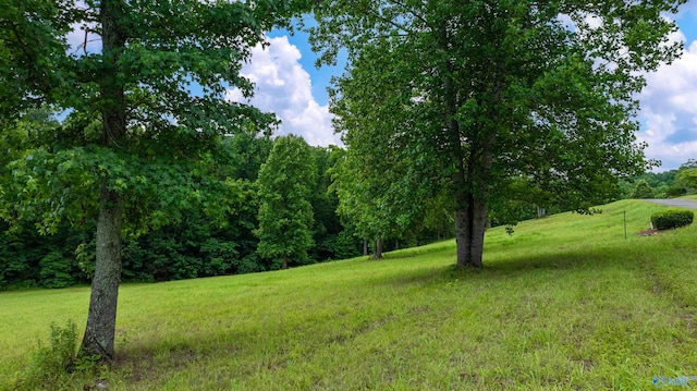 LOT22 County Road 1027, Valley Head, AL 35989