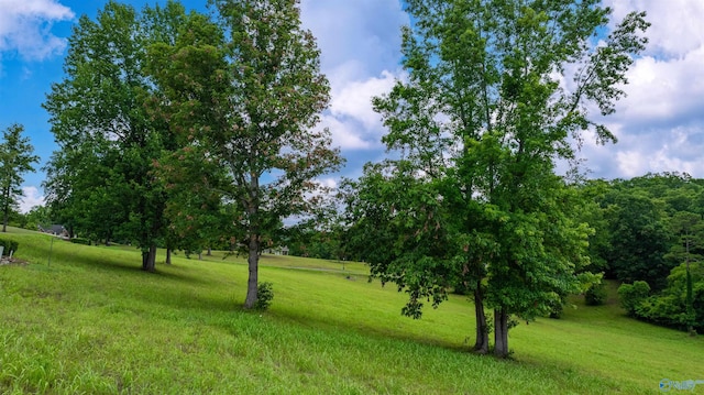 LOT22 County Road 1027, Valley Head, AL 35989