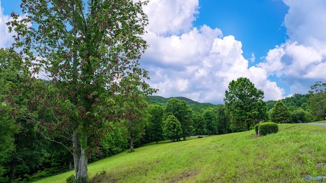 LOT22 County Road 1027, Valley Head, AL 35989
