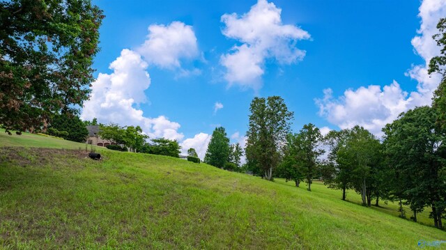 LOT22 County Road 1027, Valley Head, AL 35989