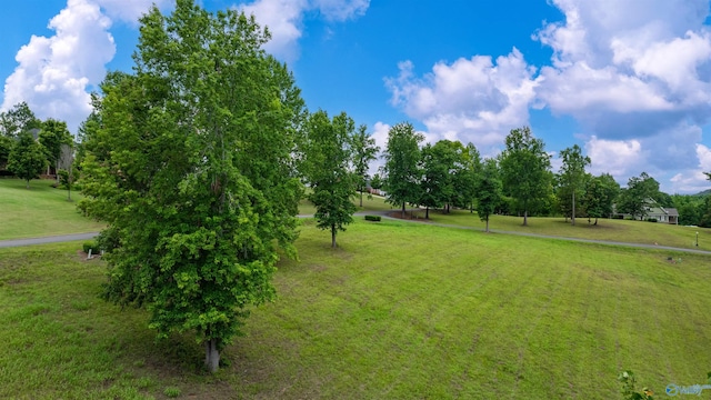 LOT22 County Road 1027, Valley Head, AL 35989
