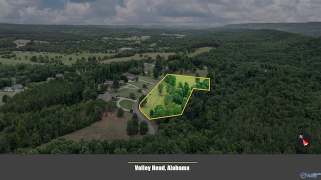LOT22 County Road 1027, Valley Head, AL 35989