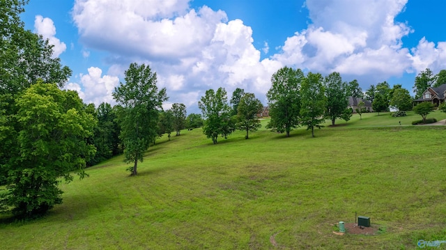LOT22 County Road 1027, Valley Head, AL 35989