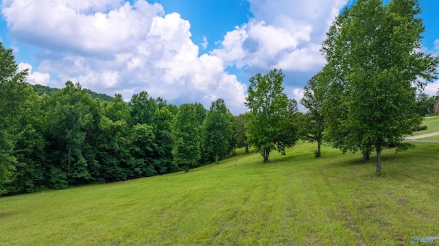 LOT22 County Road 1027, Valley Head, AL 35989