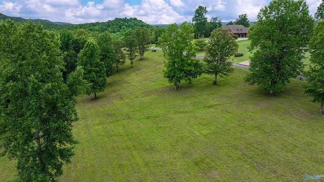 LOT22 County Road 1027, Valley Head, AL 35989