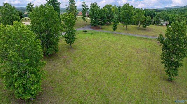 LOT22 County Road 1027, Valley Head, AL 35989