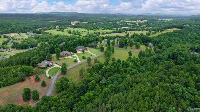 LOT22 County Road 1027, Valley Head, AL 35989