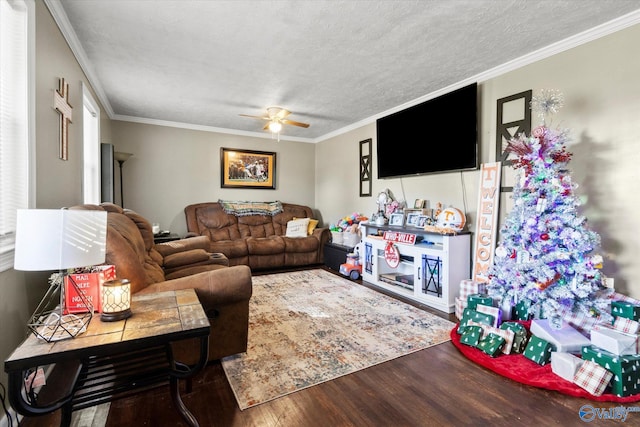 living room with ceiling fan, wood-type flooring, a textured ceiling, and ornamental molding