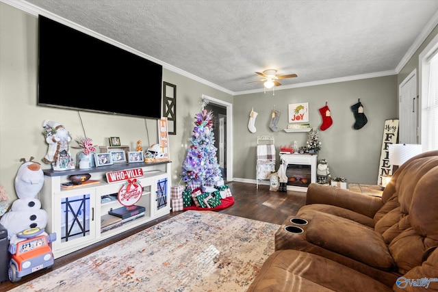 living room with a textured ceiling, ceiling fan, dark hardwood / wood-style floors, and ornamental molding