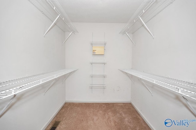 spacious closet featuring visible vents and carpet flooring