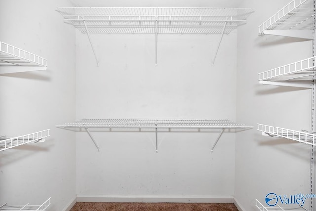 view of walk in closet