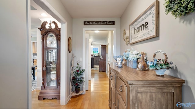 112 Bullard Rd, Hazel Green, AL 35750 - hallway with light wood finished floors and baseboards