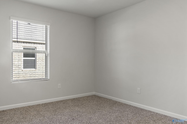 unfurnished room with carpet flooring and a wealth of natural light