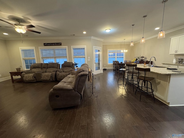 living room with crown molding, dark hardwood / wood-style floors, ceiling fan with notable chandelier, and sink