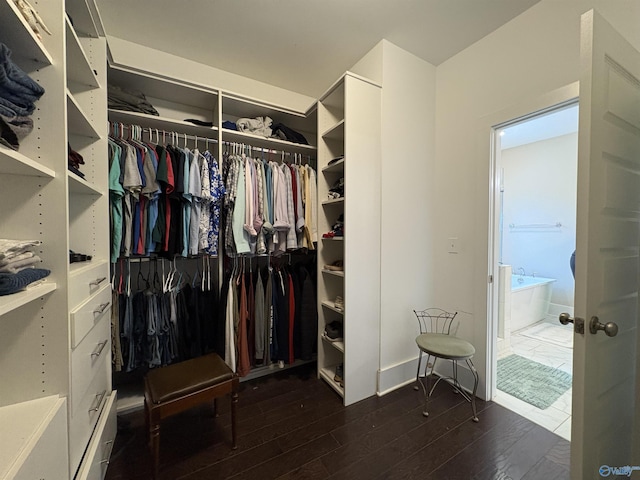 walk in closet with dark hardwood / wood-style flooring