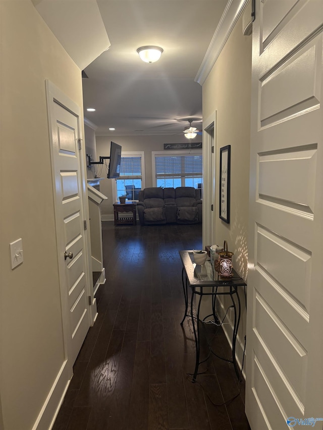 hall with dark wood-type flooring and crown molding