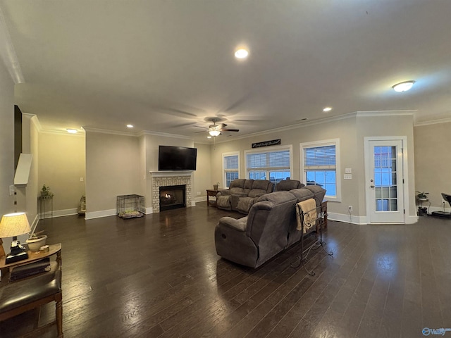 living room featuring crown molding, dark wood-type flooring, and ceiling fan