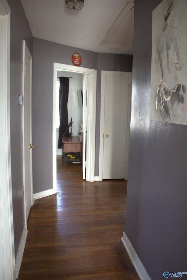 corridor featuring dark hardwood / wood-style floors