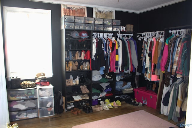 spacious closet featuring hardwood / wood-style floors