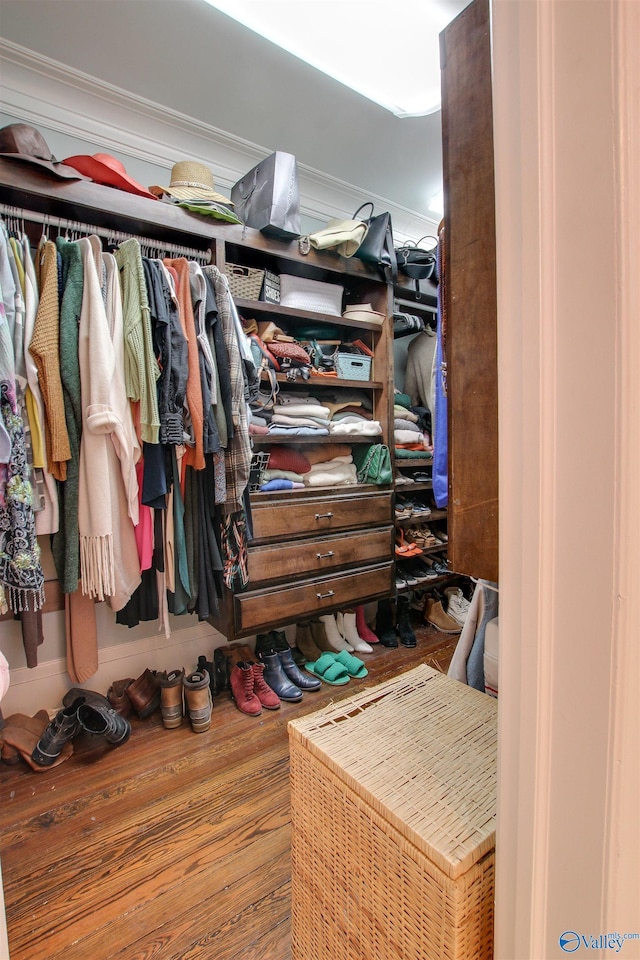 walk in closet featuring wood finished floors