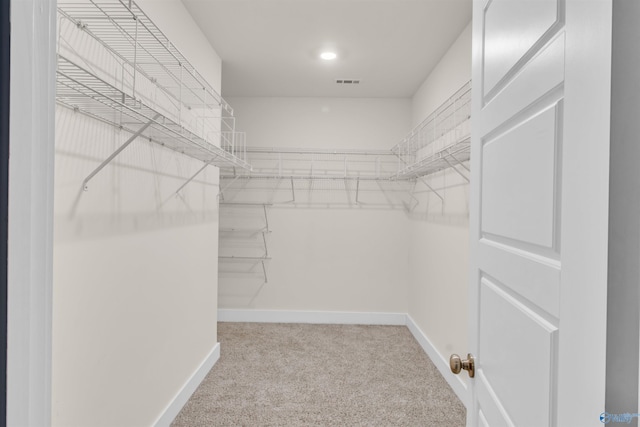 walk in closet featuring carpet floors and visible vents