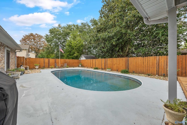 view of swimming pool with a patio area