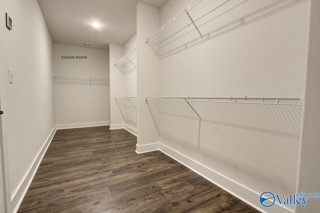 walk in closet with dark hardwood / wood-style floors