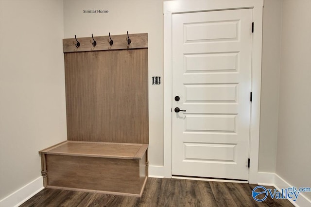 mudroom with dark wood-type flooring