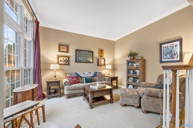 living room featuring carpet flooring and ornamental molding