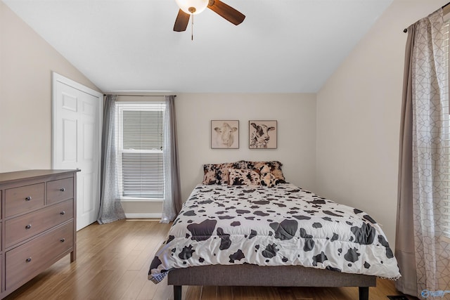bedroom featuring a ceiling fan, wood finished floors, and vaulted ceiling