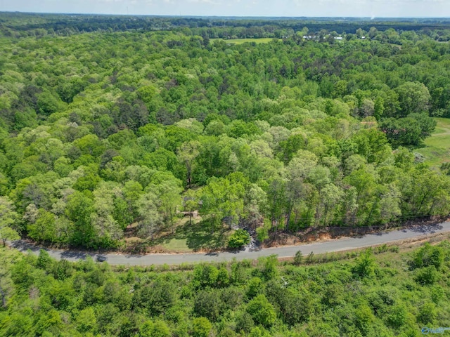 aerial view with a forest view