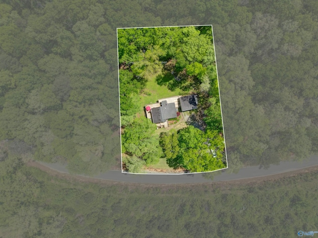 bird's eye view with a forest view
