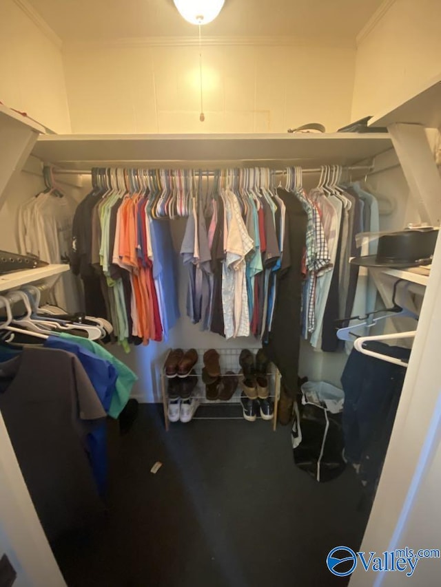 view of spacious closet