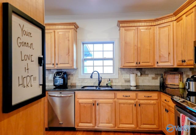 kitchen featuring appliances with stainless steel finishes, dark stone counters, a sink, and decorative backsplash