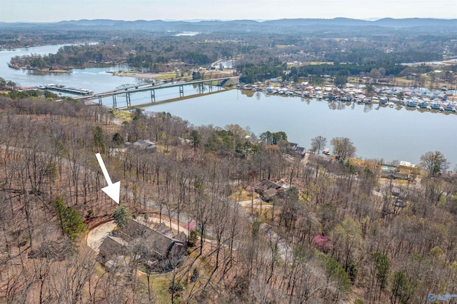 drone / aerial view featuring a water and mountain view