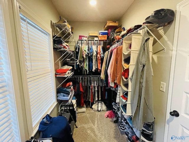 spacious closet with carpet flooring