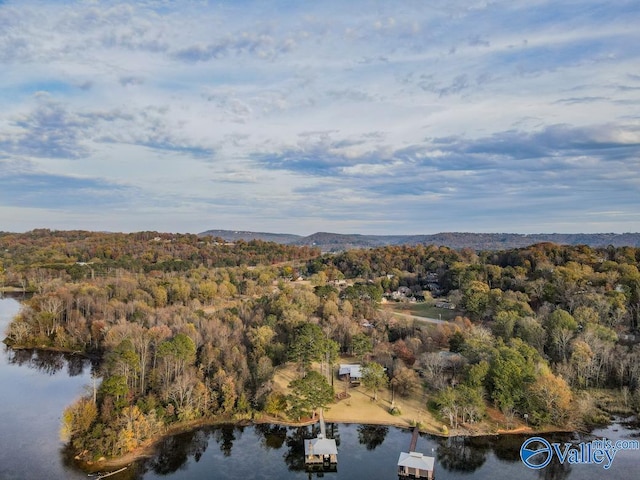 bird's eye view featuring a water view and a wooded view