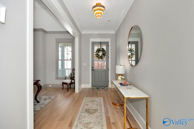 foyer entrance featuring light hardwood / wood-style floors