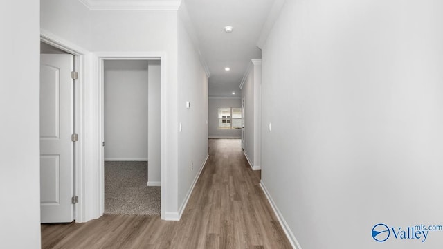 14 Moon Dr, Scottsboro, AL 35769 - corridor with wood finished floors, ornamental molding, baseboards, and recessed lighting